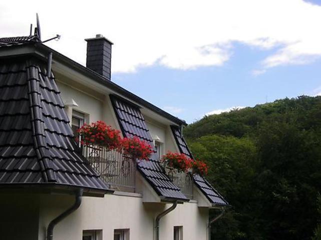 Weisses-Haus-Am-Kurpark-Fewo-Waldblick เควดลินบวร์ก ภายนอก รูปภาพ