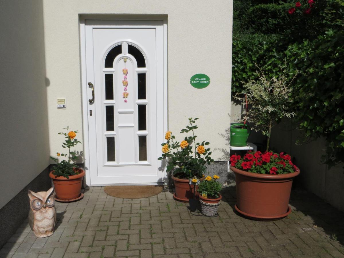 Weisses-Haus-Am-Kurpark-Fewo-Waldblick เควดลินบวร์ก ภายนอก รูปภาพ