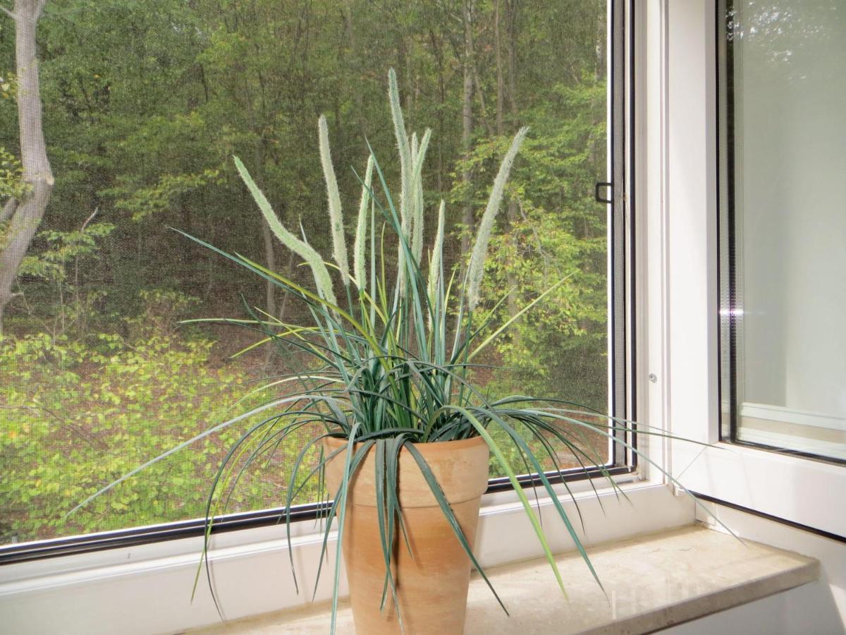 Weisses-Haus-Am-Kurpark-Fewo-Waldblick เควดลินบวร์ก ภายนอก รูปภาพ